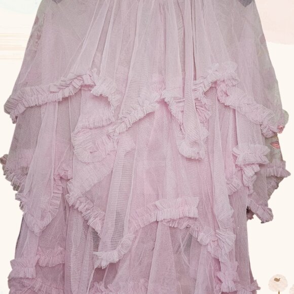Pink tulle Sheer Midi Skirt - Picture 2 of 4